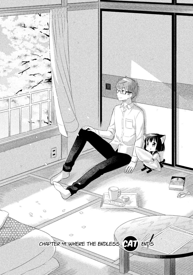 Neko No Kohana 41 1
