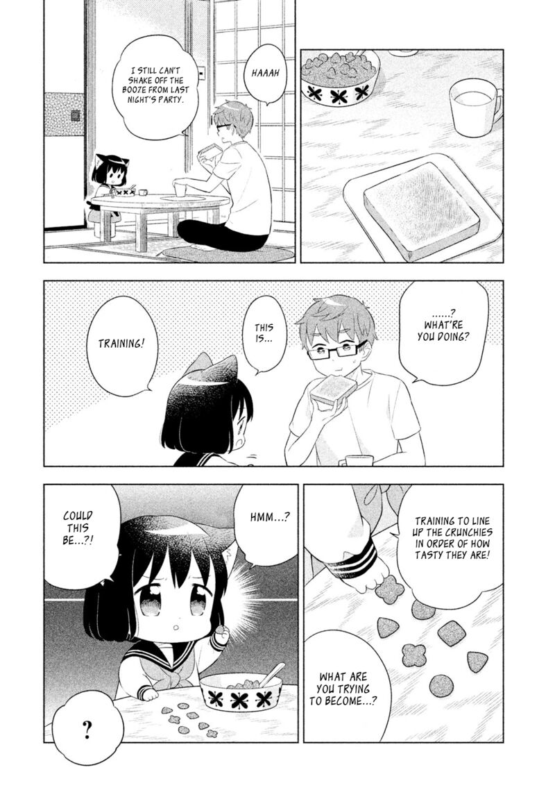 Neko No Kohana 41 5