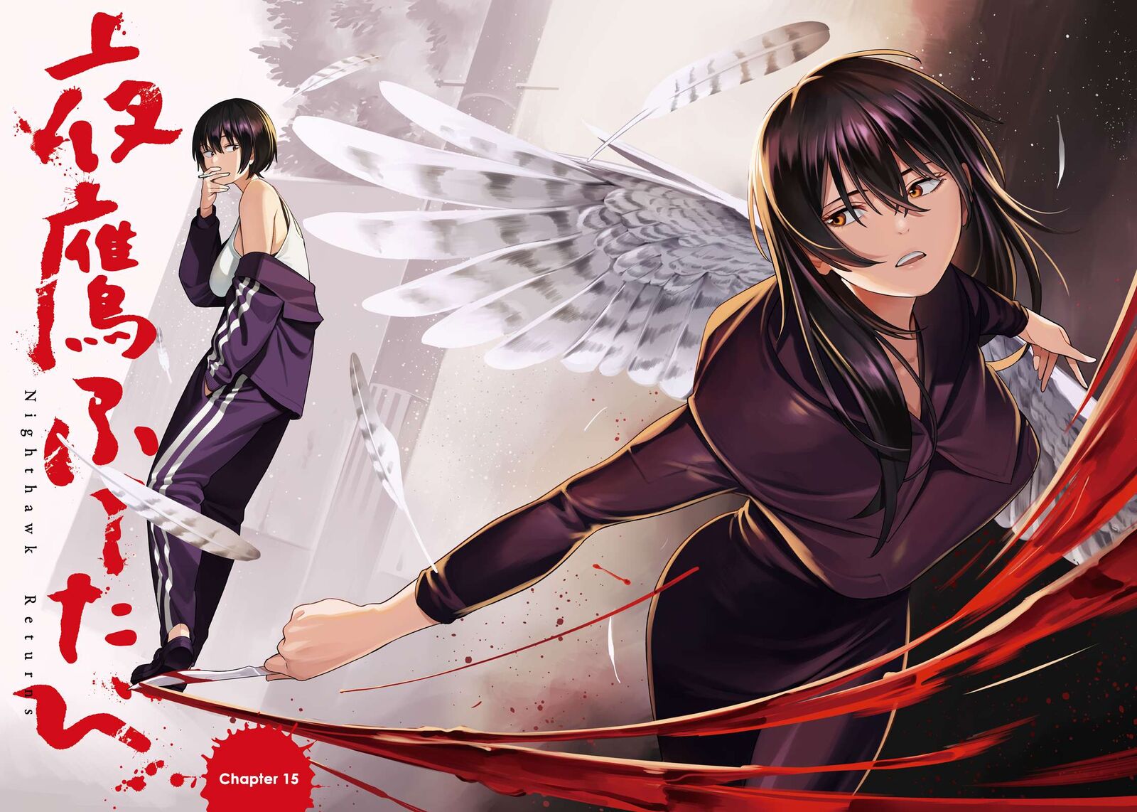 Nighthawk Returns 15 3