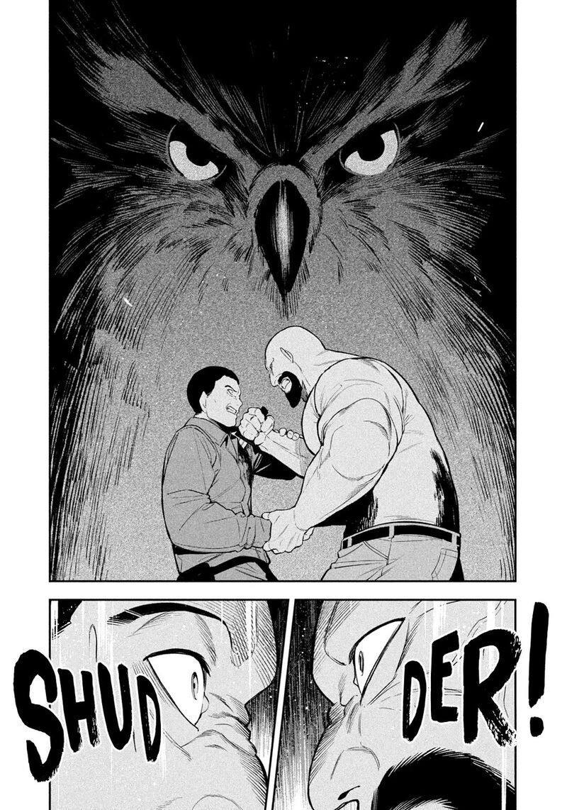 Nighthawk Returns 36 3