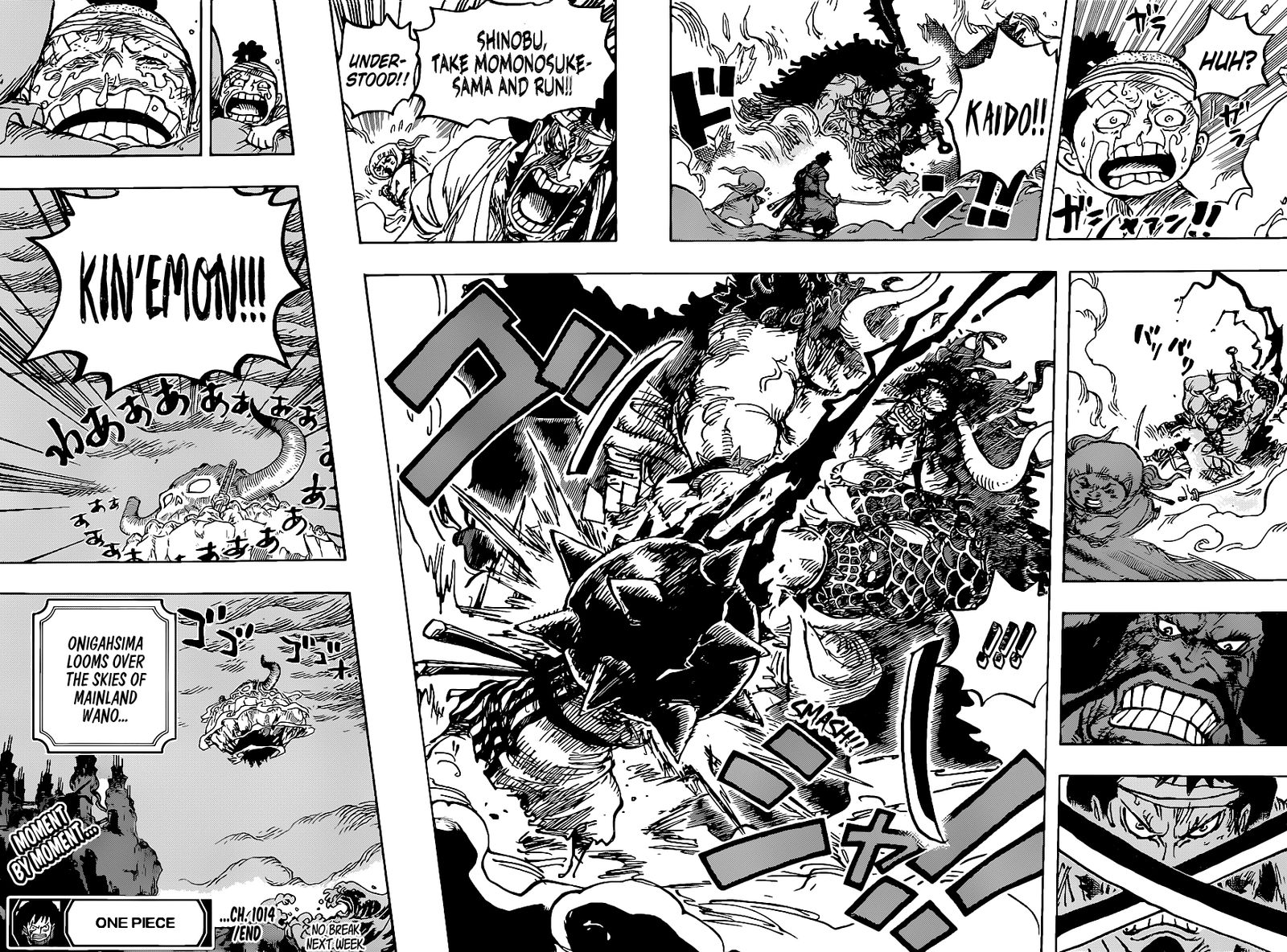 One Piece 1014 14