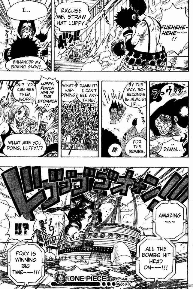 One Piece 314 19