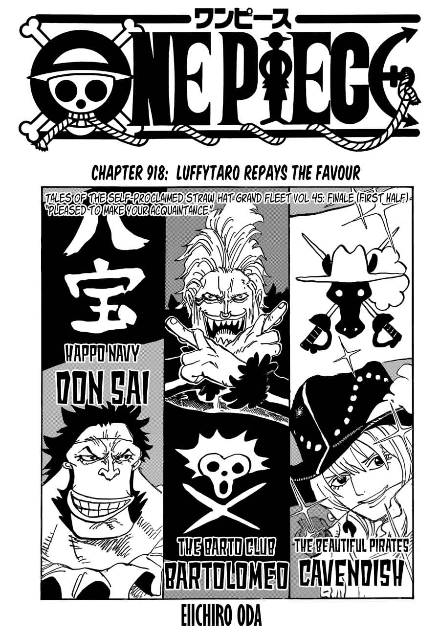 One Piece 918 1