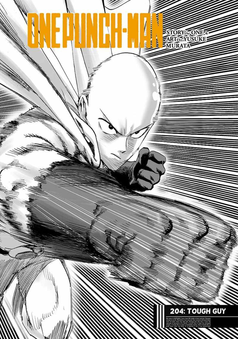 Onepunch Man 204 1