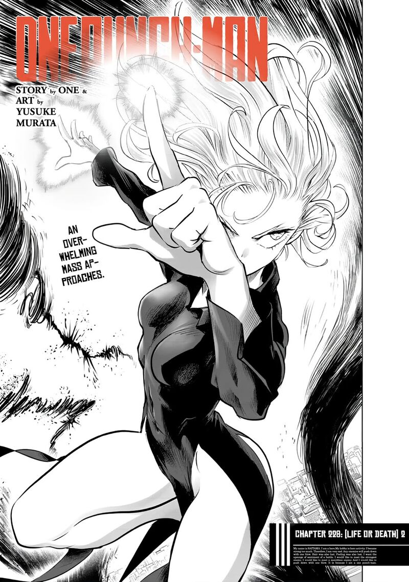 Onepunch Man 228 1