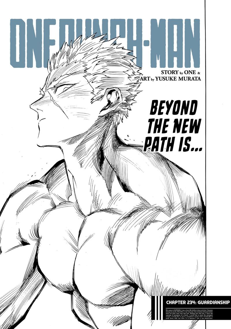 Onepunch Man 234 1