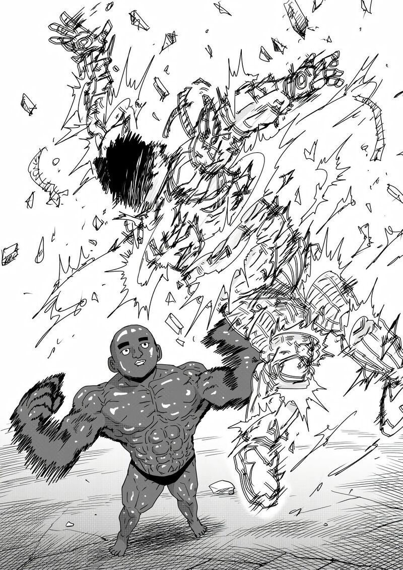Onepunch Man One 155 26