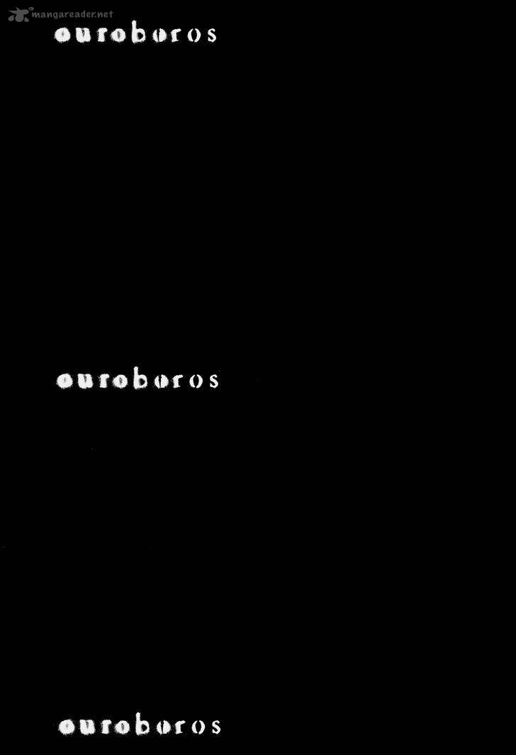 Ouroboros 110 44