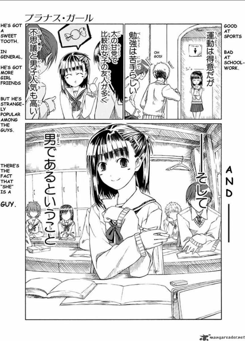 Prunus Girl 1 11