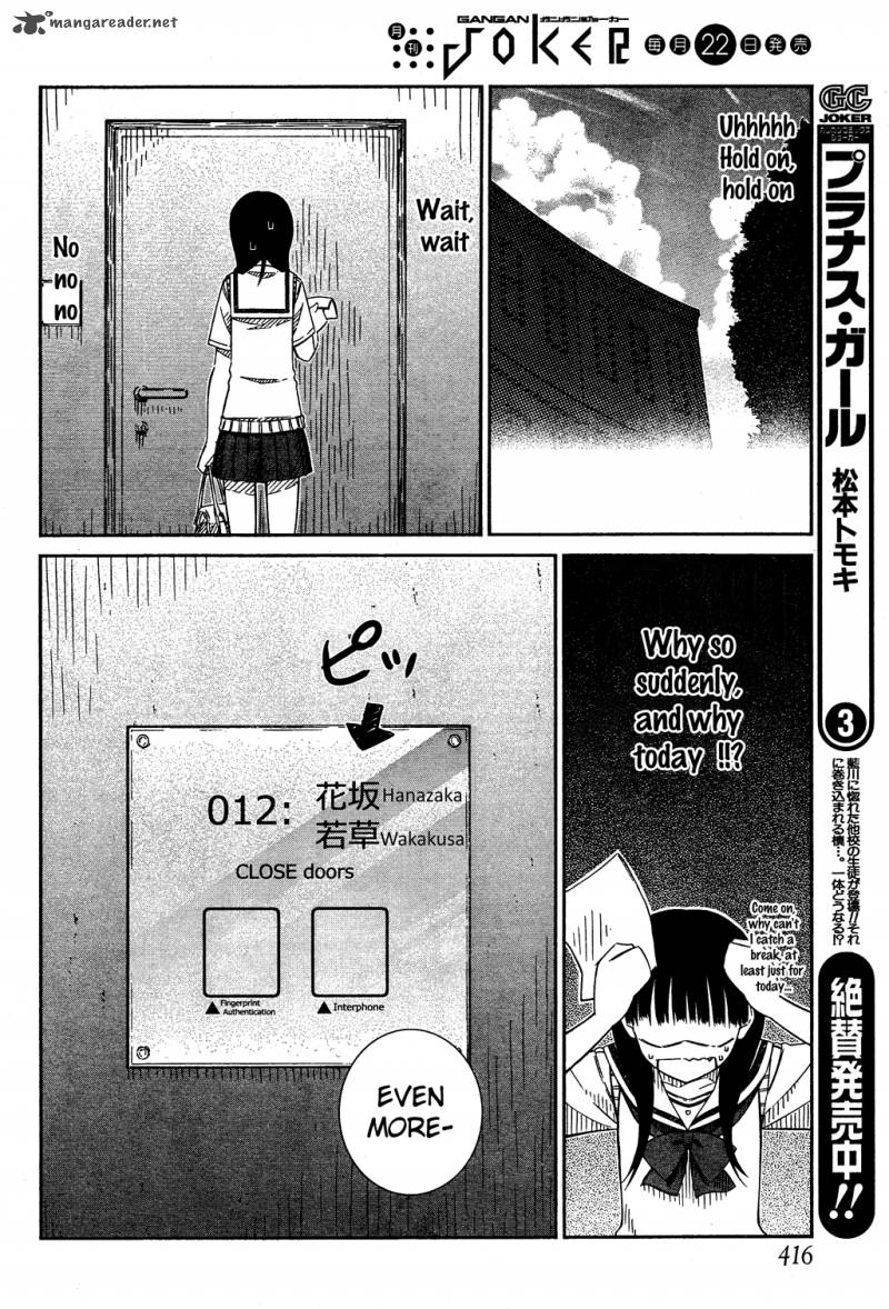 Prunus Girl 25 20