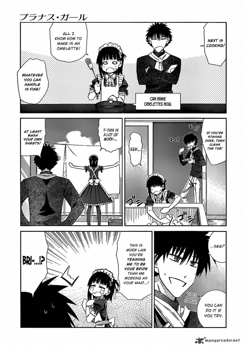 Prunus Girl 31 13