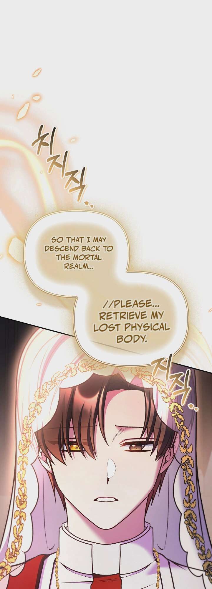 Regressor Instruction Manual 208 59