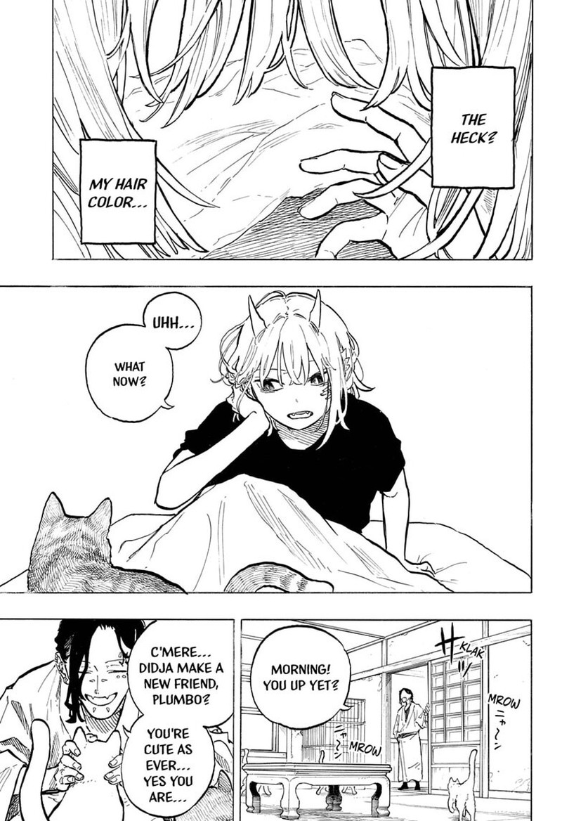 Ruridragon 51 17