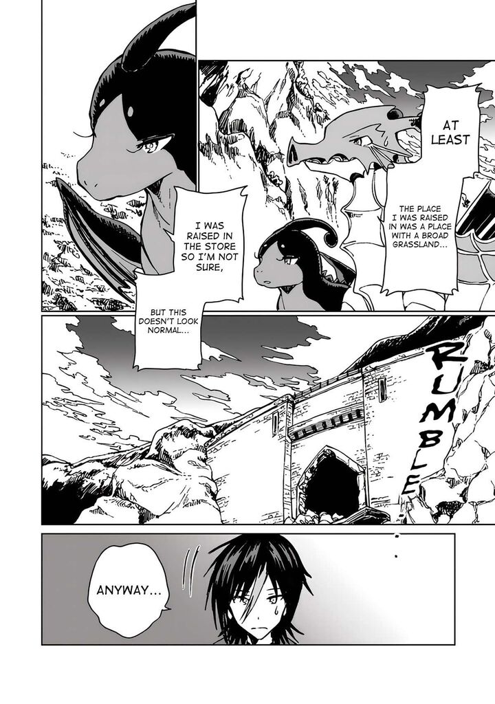 S Kyuu Guild Wo Tsuihousareta Kedo Jitsu Wa Ore Dake Dragon No Kotoba Ga Wakaru No De Kidzuita Toki Ni Wa Ryuu Kishi No Chouten Wo Kiwametemashita 20 30