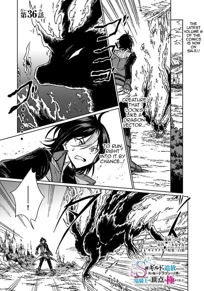 S Kyuu Guild Wo Tsuihousareta Kedo Jitsu Wa Ore Dake Dragon No Kotoba Ga Wakaru No De Kidzuita Toki Ni Wa Ryuu Kishi No Chouten Wo Kiwametemashita 36 2