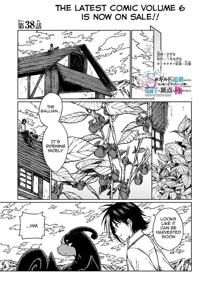 S Kyuu Guild Wo Tsuihousareta Kedo Jitsu Wa Ore Dake Dragon No Kotoba Ga Wakaru No De Kidzuita Toki Ni Wa Ryuu Kishi No Chouten Wo Kiwametemashita 38 2