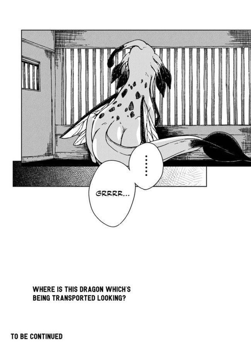 S Kyuu Guild Wo Tsuihousareta Kedo Jitsu Wa Ore Dake Dragon No Kotoba Ga Wakaru No De Kidzuita Toki Ni Wa Ryuu Kishi No Chouten Wo Kiwametemashita 5 37