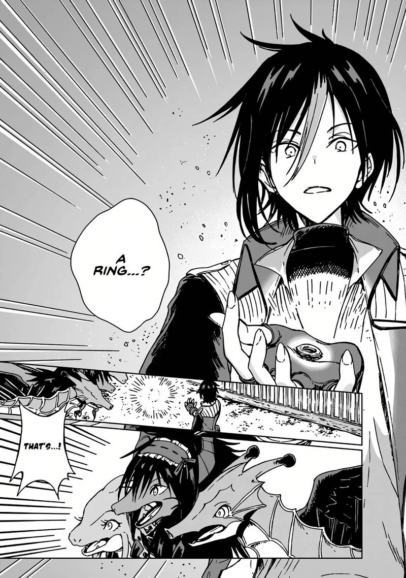 S Kyuu Guild Wo Tsuihousareta Kedo Jitsu Wa Ore Dake Dragon No Kotoba Ga Wakaru No De Kidzuita Toki Ni Wa Ryuu Kishi No Chouten Wo Kiwametemashita 9 29