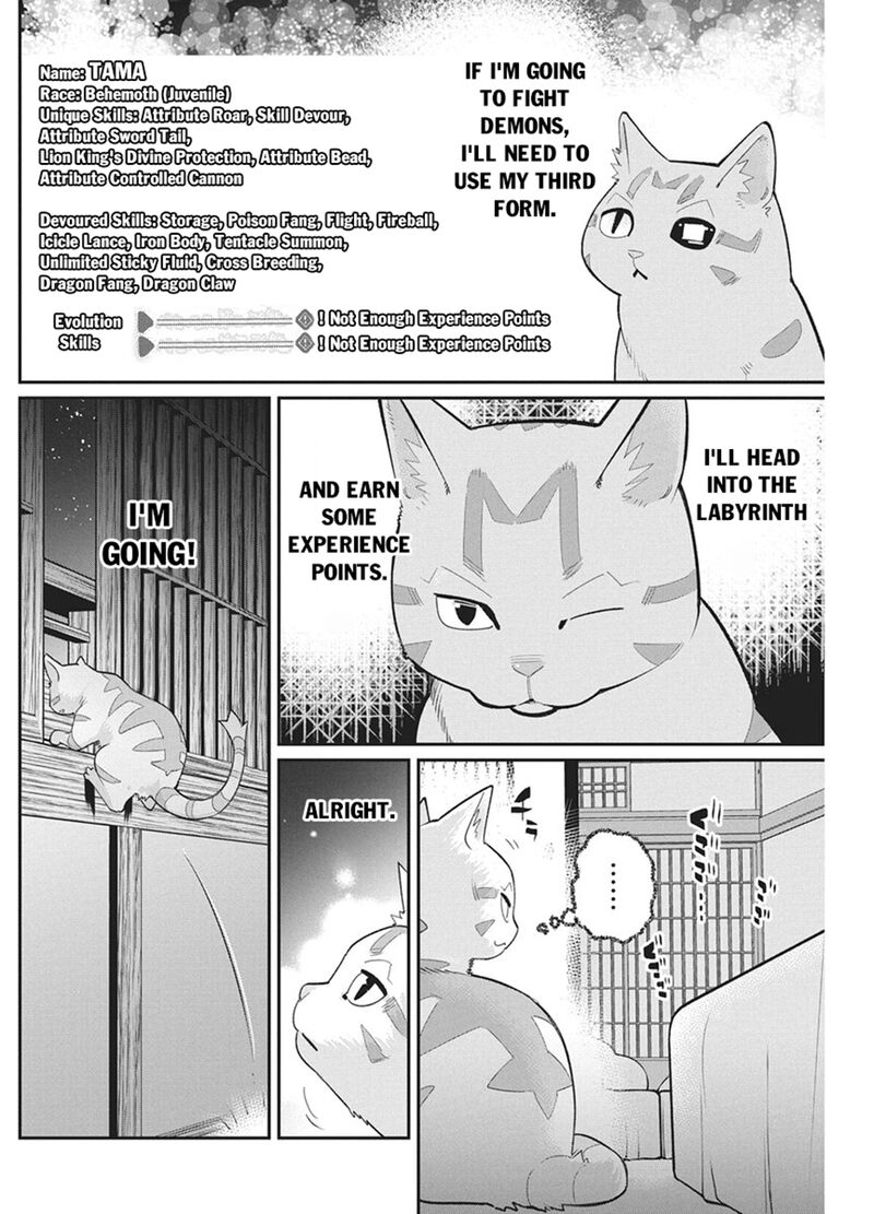S Rank Monster No Behemoth Dakedo Neko To Machigawarete Erufu Musume No Kishi Pet Toshite Kurashitemasu 87 11