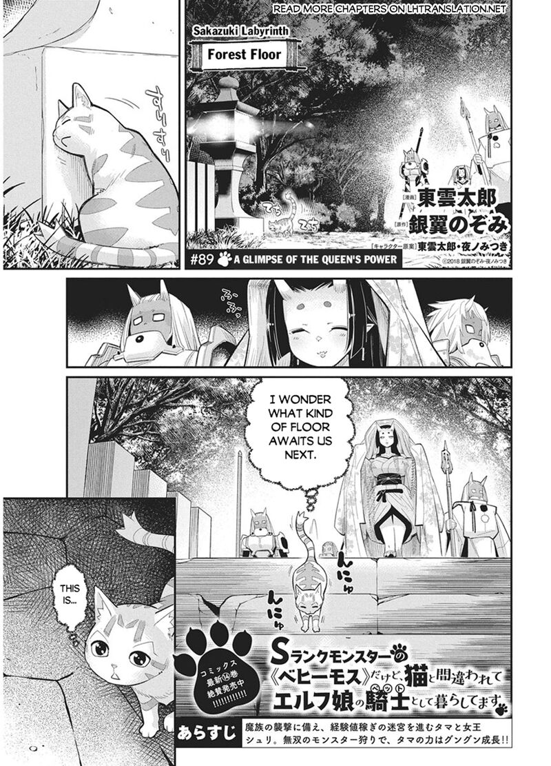S Rank Monster No Behemoth Dakedo Neko To Machigawarete Erufu Musume No Kishi Pet Toshite Kurashitemasu 89 1