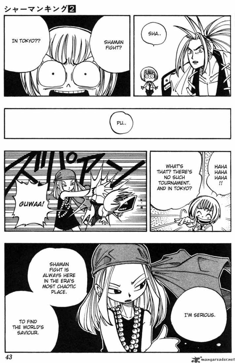 Shaman King 10 17