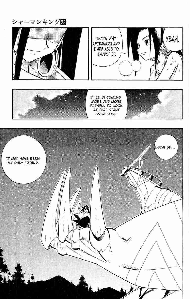 Shaman King 198 14