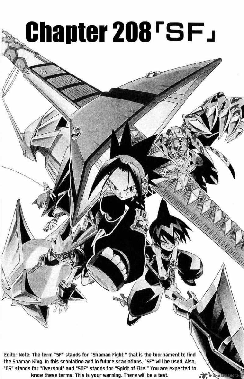 Shaman King 208 1