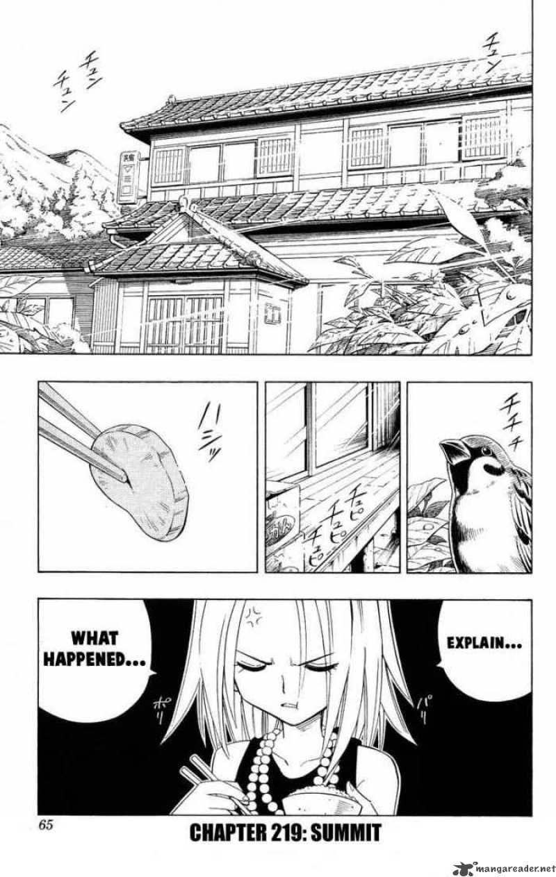 Shaman King 219 1