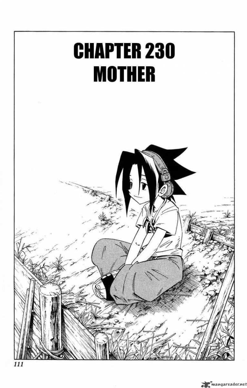 Shaman King 230 3