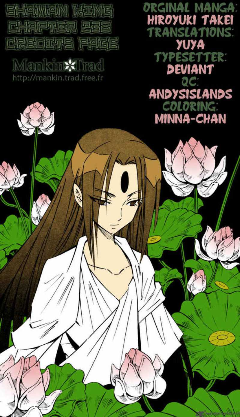 Shaman King 238 19