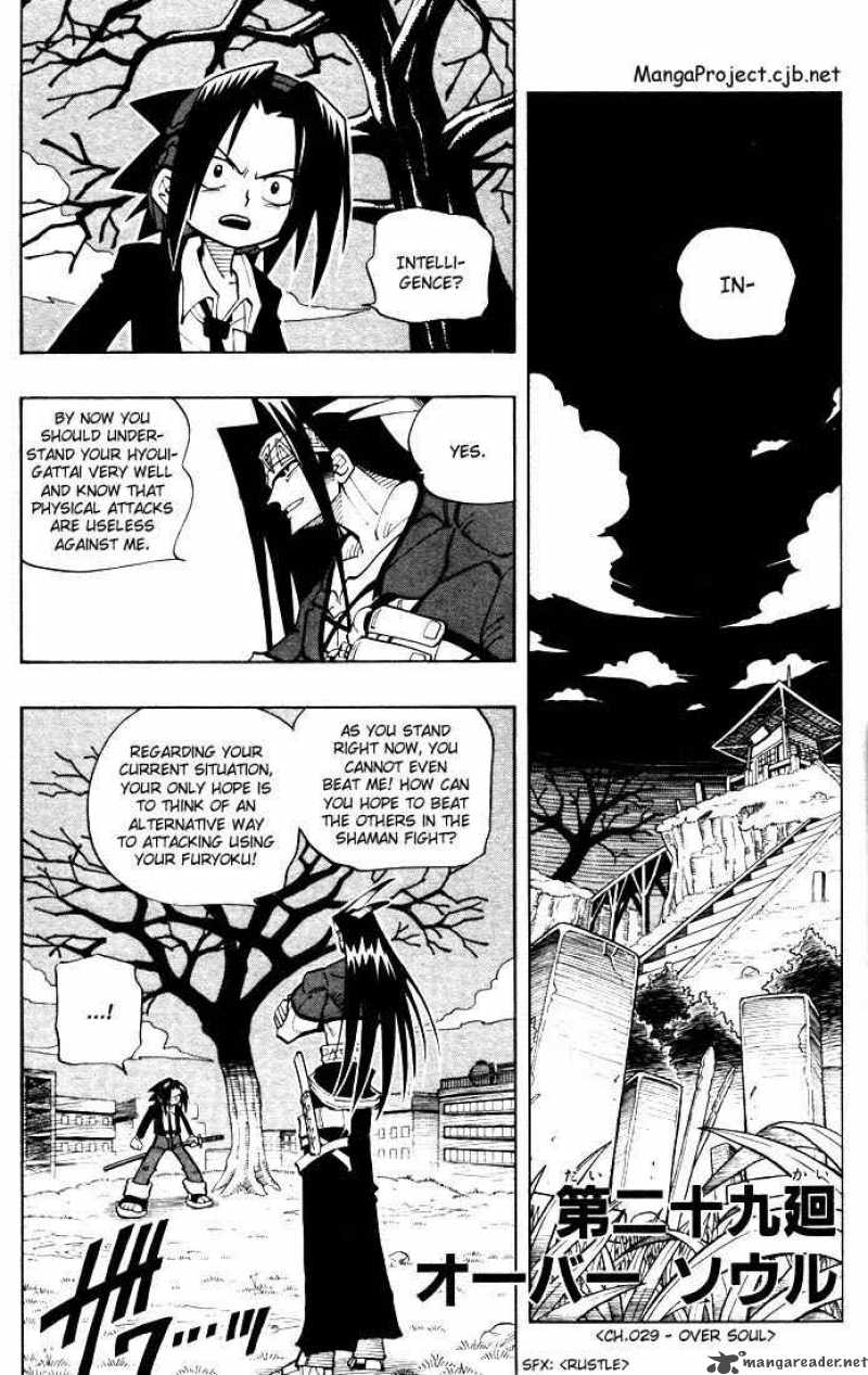 Shaman King 29 1