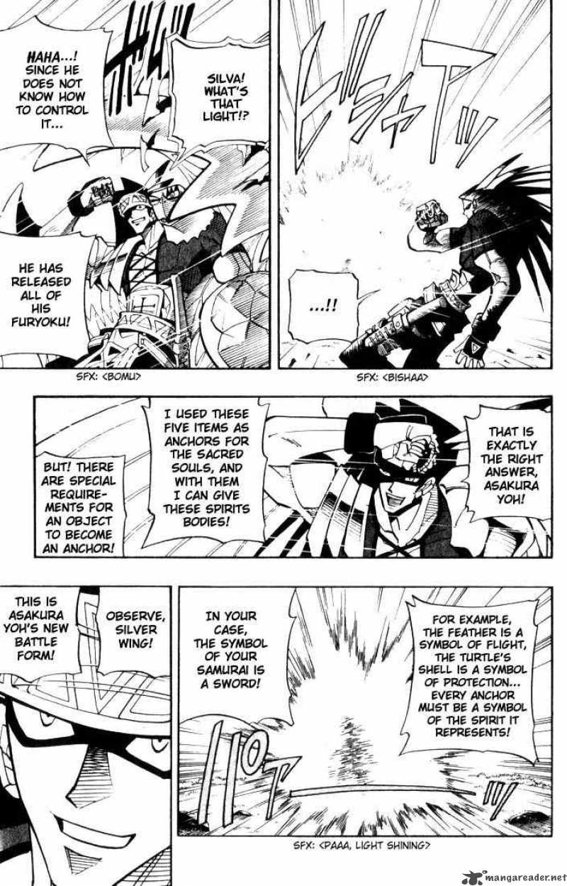 Shaman King 29 17