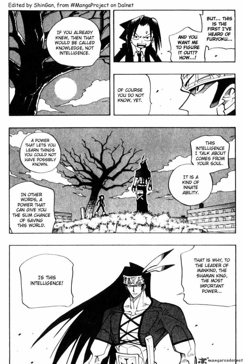 Shaman King 29 2