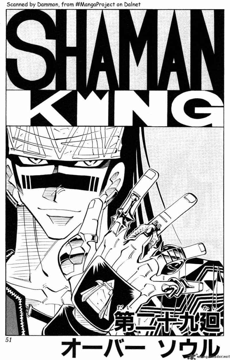 Shaman King 29 3