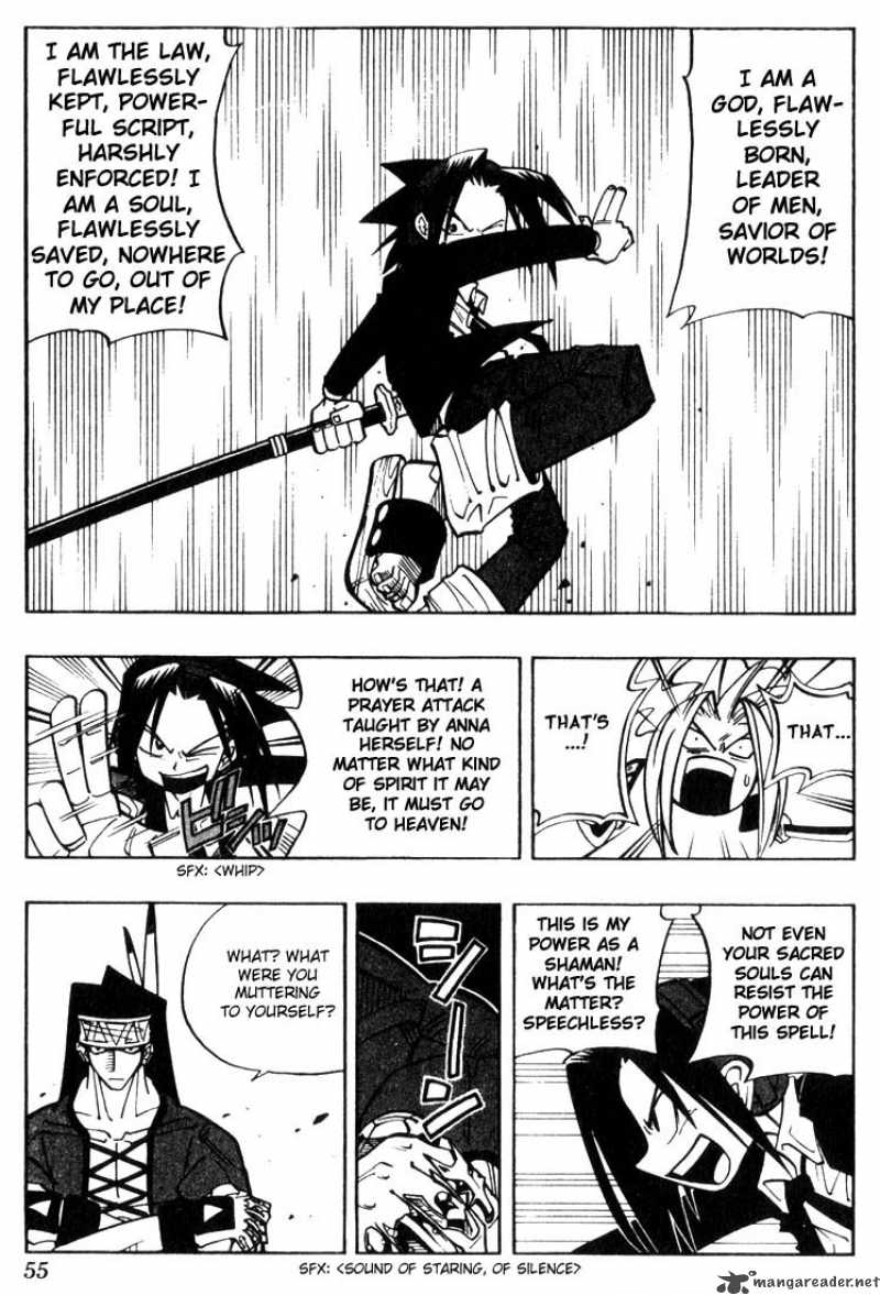 Shaman King 29 7