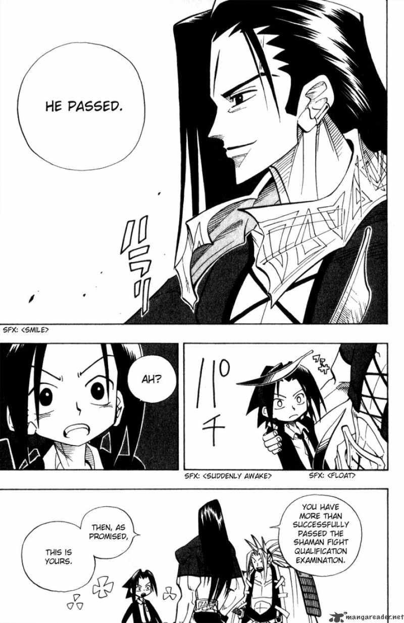 Shaman King 31 8