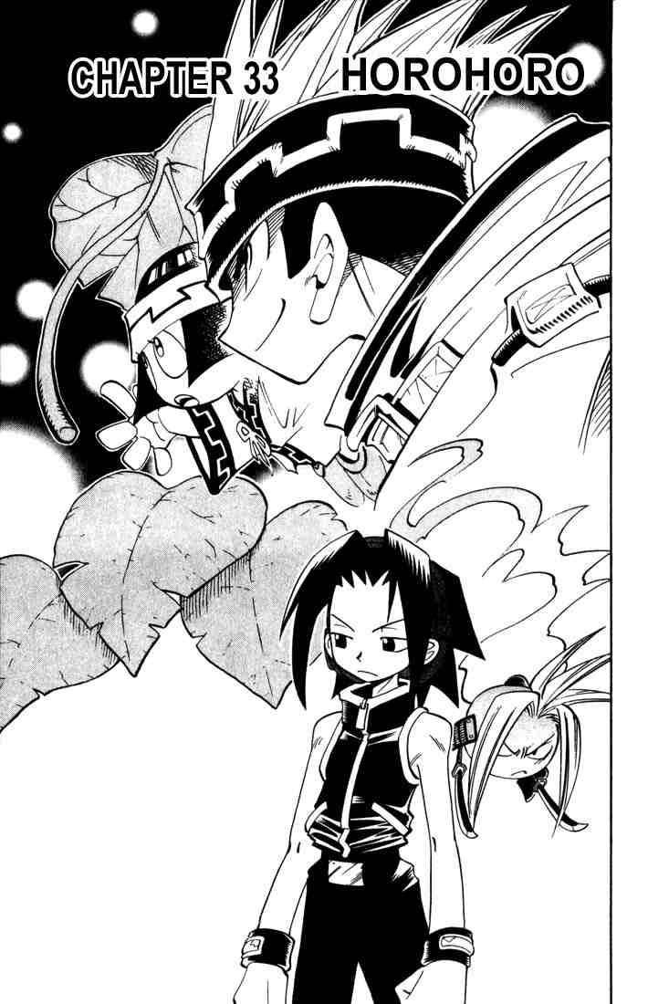 Shaman King 33 3