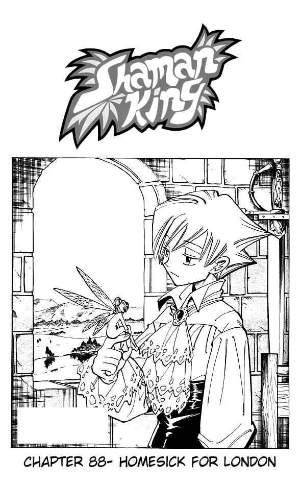 Shaman King 88 3