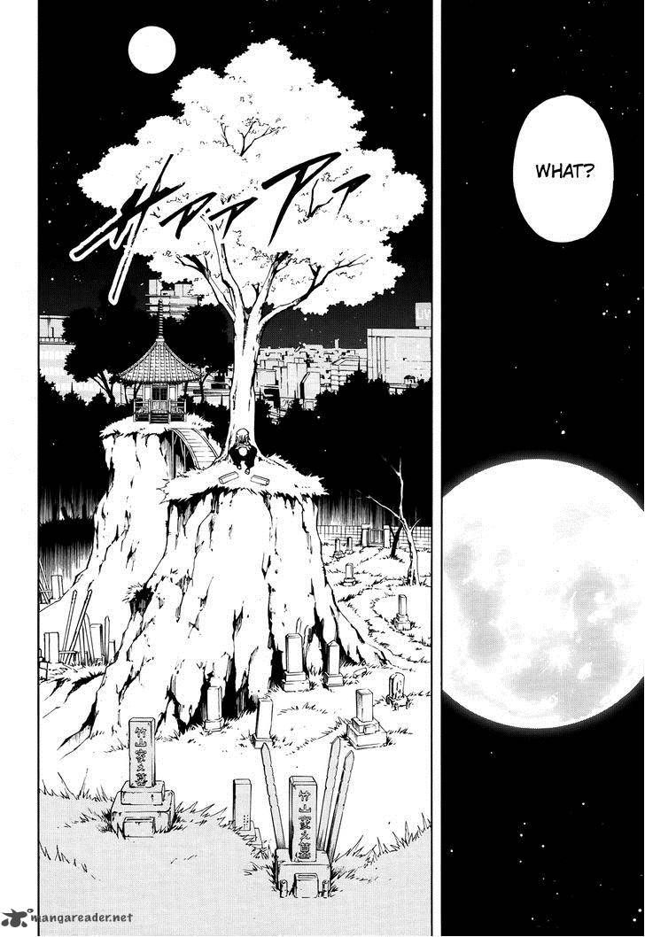 Shaman King Flowers 12 27