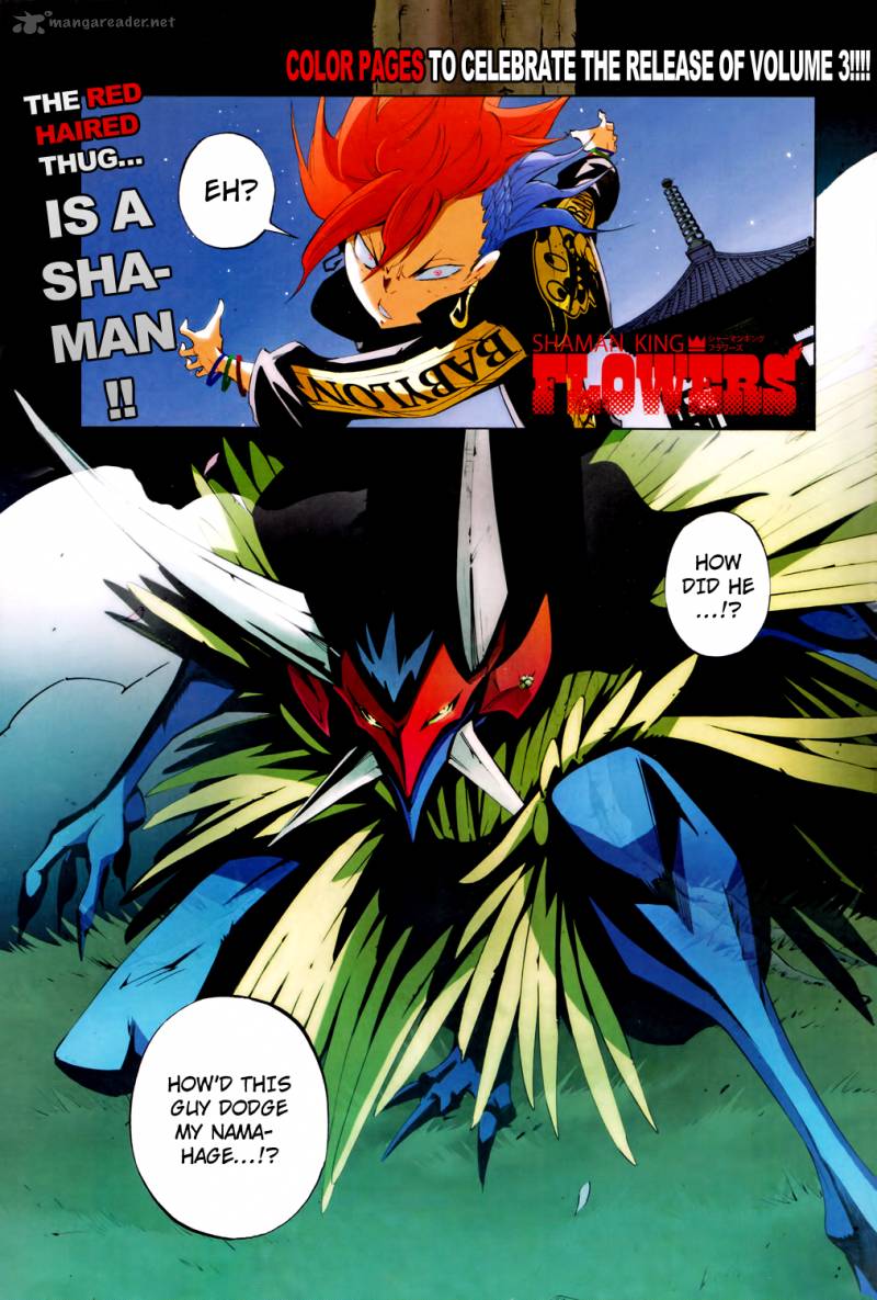 Shaman King Flowers 13 3