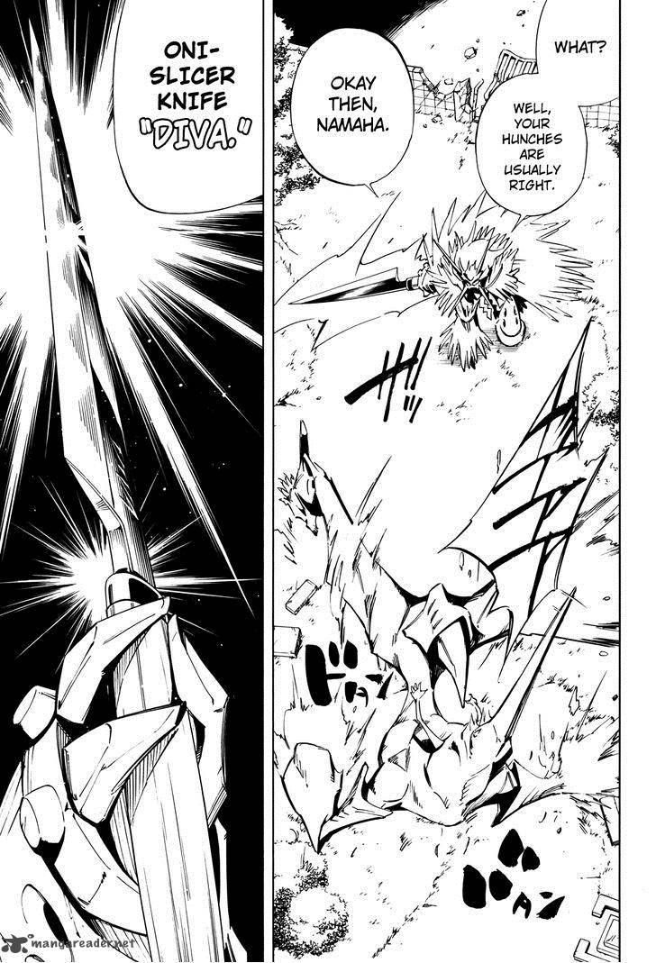 Shaman King Flowers 14 13