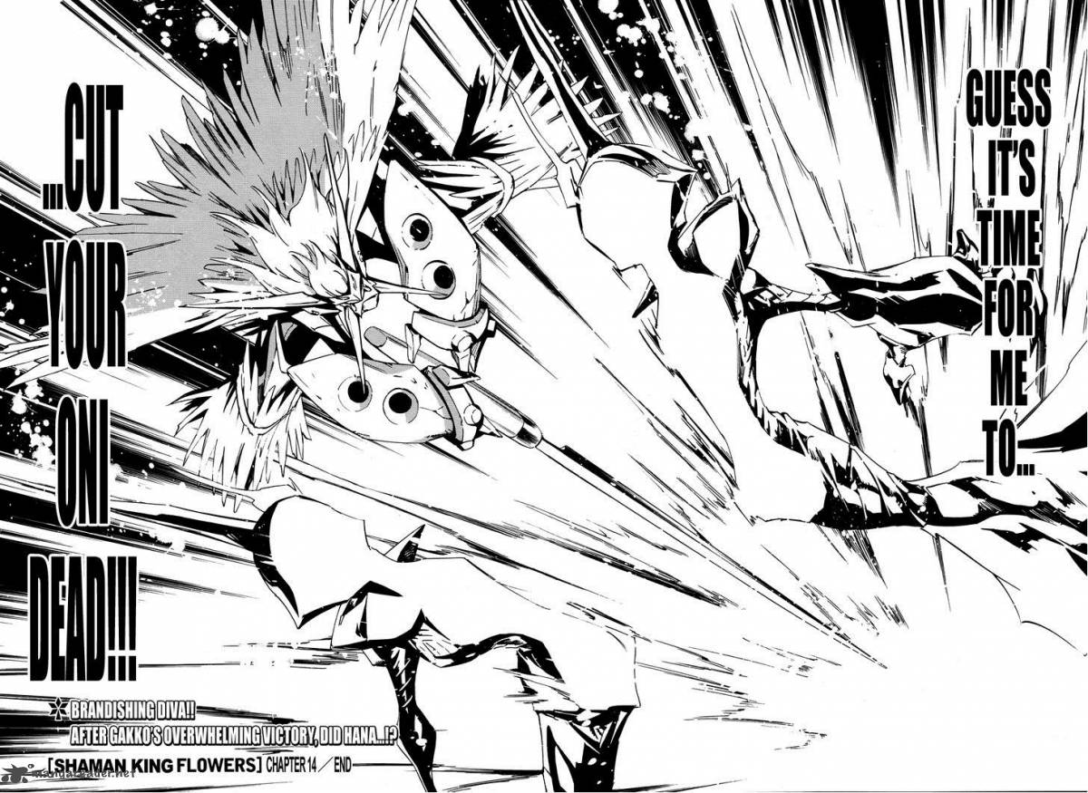 Shaman King Flowers 14 28