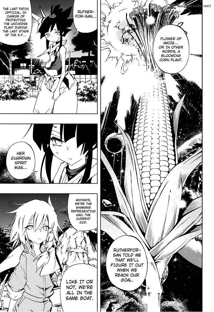 Shaman King Flowers 15 29