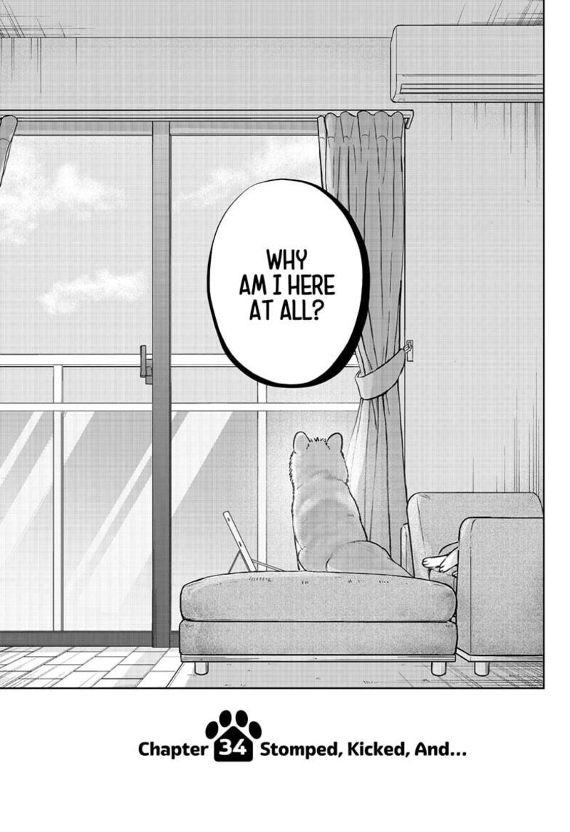 Shiba Tsuki Bukken 34 3