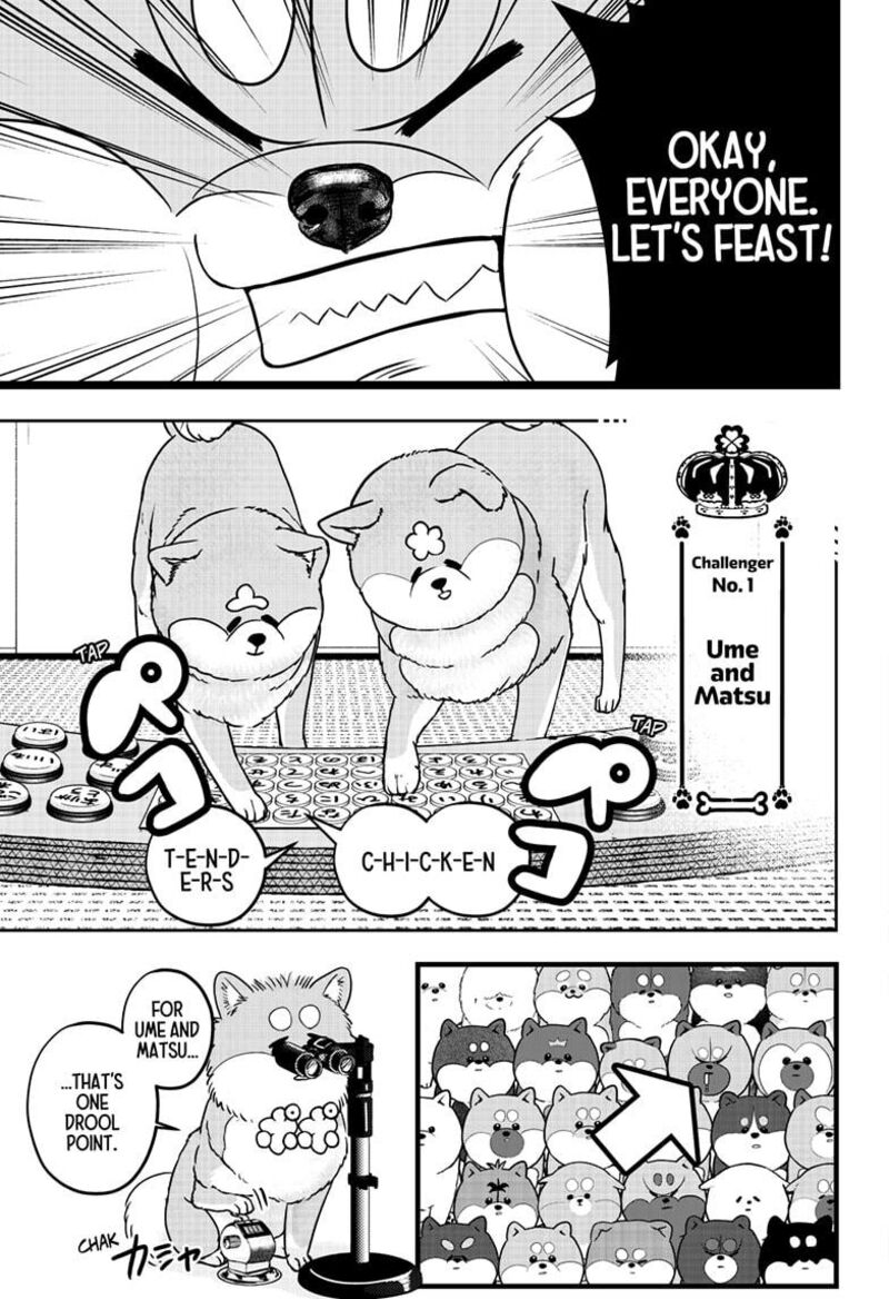 Shiba Tsuki Bukken 36 11