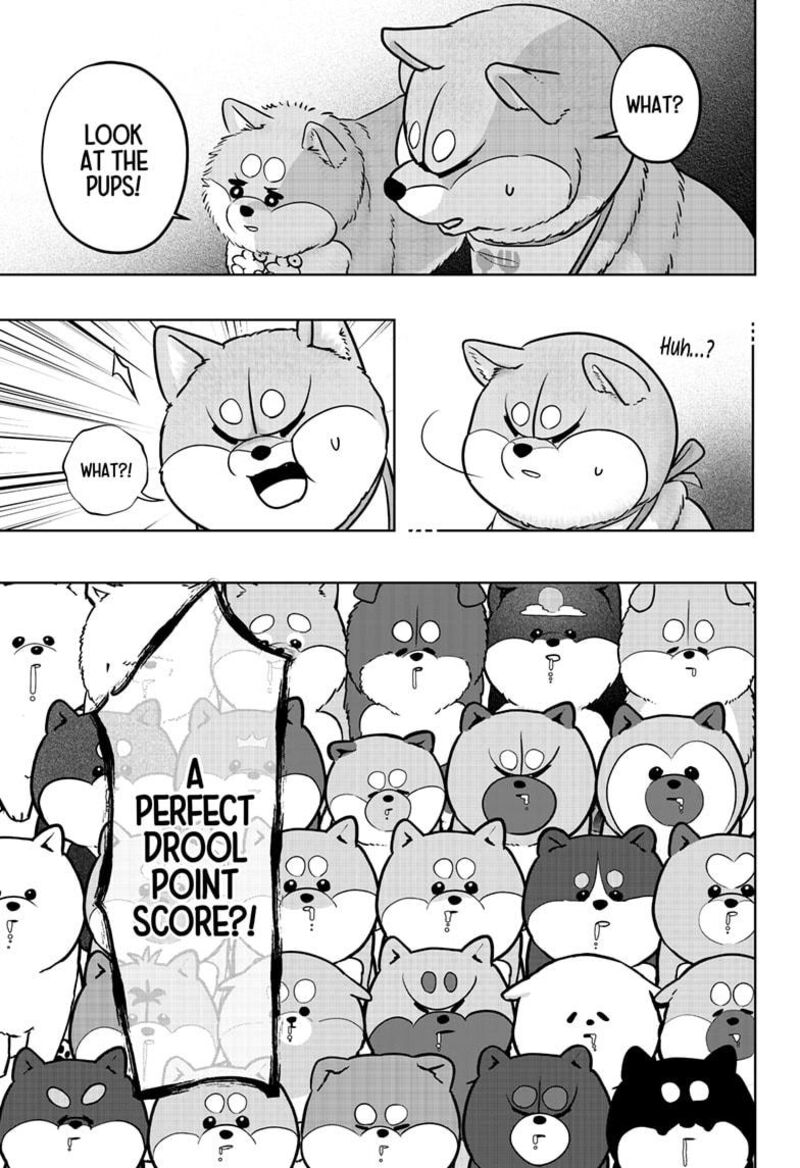 Shiba Tsuki Bukken 36 17