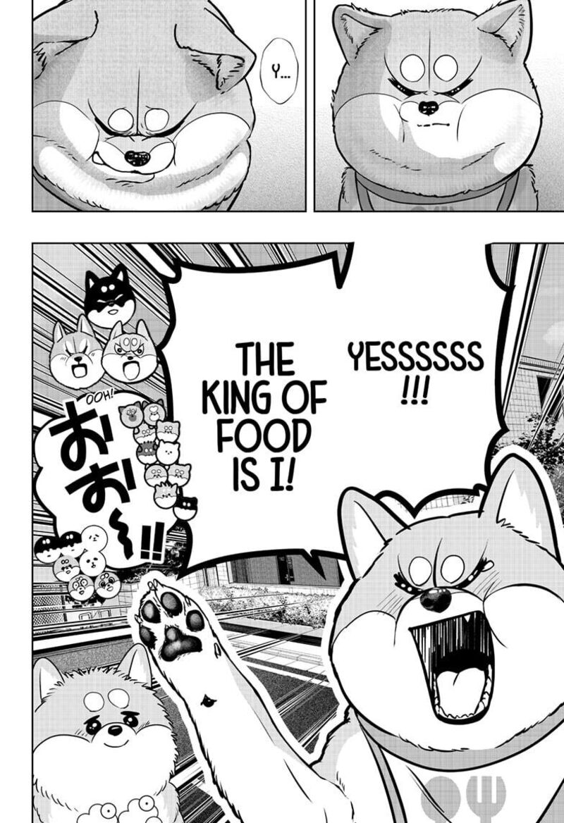 Shiba Tsuki Bukken 36 24