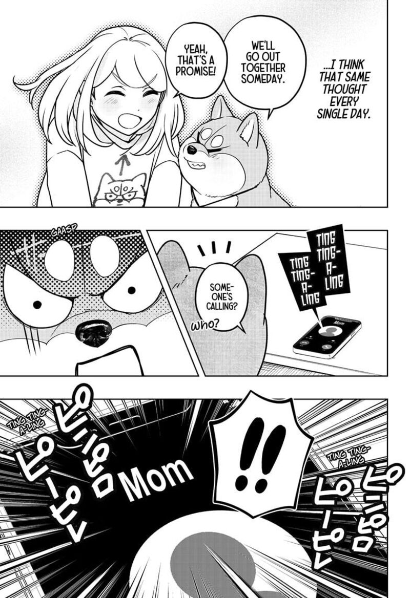 Shiba Tsuki Bukken 43 31