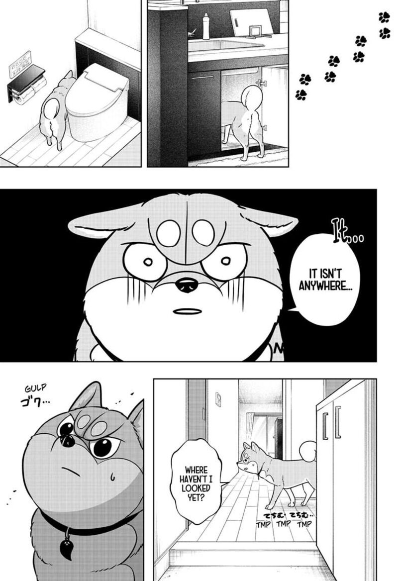 Shiba Tsuki Bukken 63 11