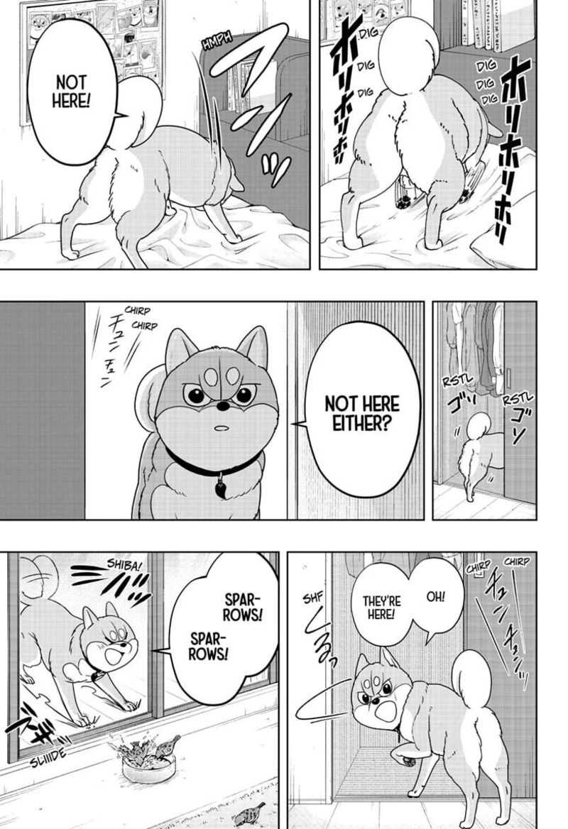 Shiba Tsuki Bukken 63 7